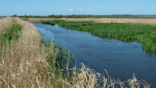 Gwarchodfa RSPB Morfa Mawr