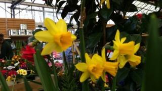 Garden centre