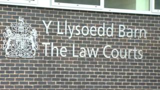 Llys y Goron Yr Wyddgrug