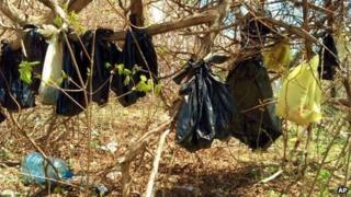 A handout photo from the Westchester SPCA shows bags with the remains of cats in the woods in Yonkers