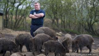 Greg Davies