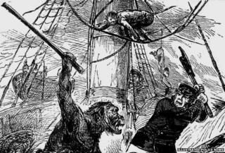 Gorilla and monkeys on board ship
