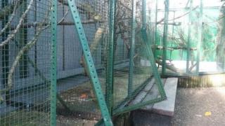 The cages where the birds used to live now lie empty