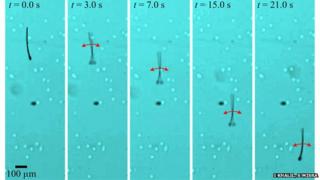 sperm-inspired robot swimming