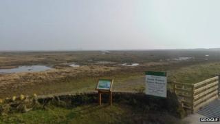 South Walney nature reserve