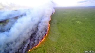 Amazon forest fire