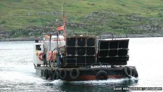 MV Glenachulish