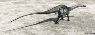 apatosaurus