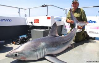 George Woodward with the shark