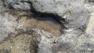 ancient footprint fund at Newgale, Pembrokeshire