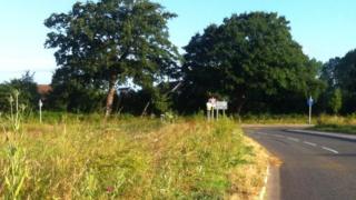 Overgrown verge in Sussex