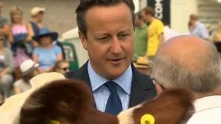 David Cameron