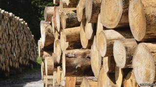 Wood
