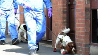 Dogs and forensic science officers