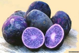 "Blue potatoes"