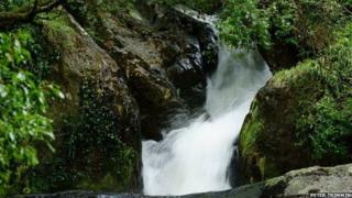 Rhaeadr Dolgoch