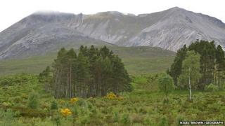 Ben Eighe