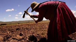 Paulina Momoni tills a field before planting December 12, 2005 in Curva, Bolivia.