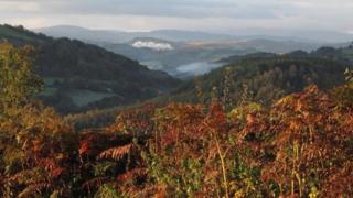 Clocaenog