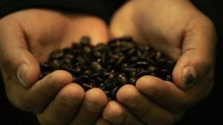 Coffee beans