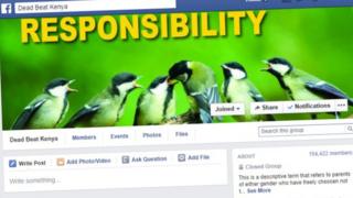 A screengrab of the Dead Beat Kenya Facebook page showing an adult bird feeding its young
