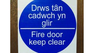 drws tan