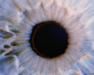 Human eye