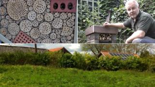 Jason Alexander, bug houses, and Foxburrow Farm