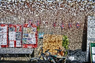 Bicycles under camouflage webbing