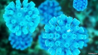 Hepatitis virus