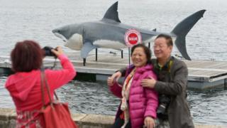 Chinese tourists pose for a photo at Sydney harbour