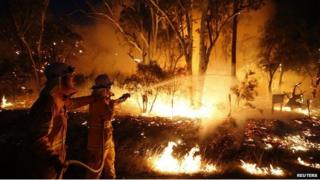 Пожарные пытаются потушить лесной пожар в заповеднике Виндзор-Даунс, недалеко от Сиднея, 10 сентября 2013 г.