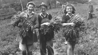Merched Byddin y Tir