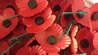 Scottish poppies