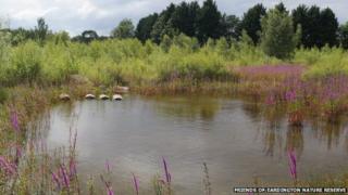 Eardington Nature Reserve