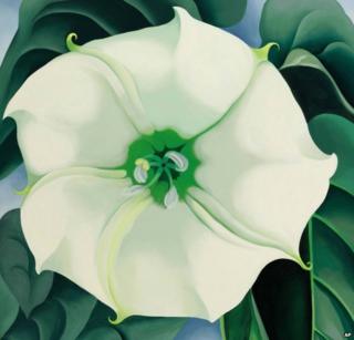 Джемсон Уид / Белый цветок № 1 от Джорджии О'Киф