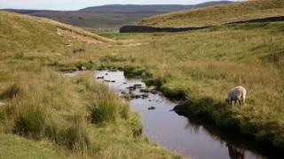A stream running through open land