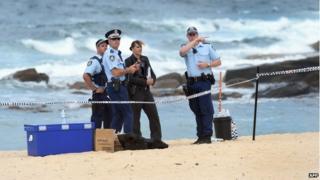 Police organise a search of the sand dunes after the body of a baby is discovered at Maroubra beach, Sydney, 30 November 2014