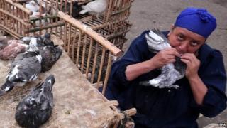 An Egyptian woman feeds a pigeon from her mouth at a market in Cairo (19 November 2014)