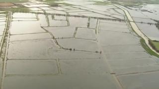 Flooded fields