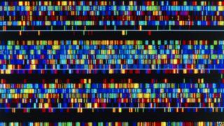 DNA sequence