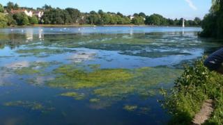 Roath Park Lake