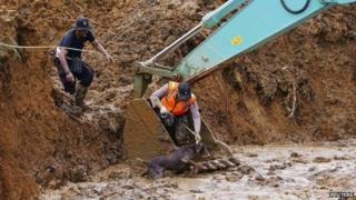 An Indonesian policeman and search dog at the scene of a deadly landslide