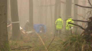 Blackwood Forest crash site