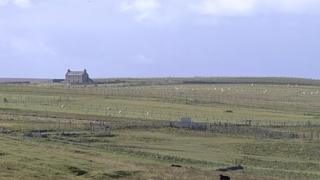 Talamh croitearachd