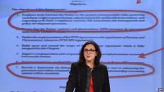 EU Trade Commissioner Cecilia Malmstroem, 13 Jan 15