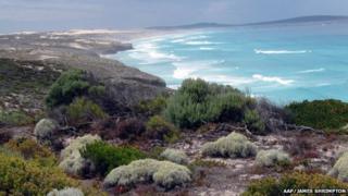 Aerial picture of the Eyre Peninsula (file image)