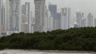 A mangrove forest hugs the coastline of Panama City in this file photo from 18 October 2012