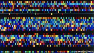 Genome
