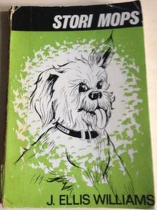 Mops y ci yn gysur i Dylan Jones yn yr ysbyty!
